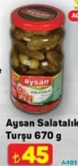 AYSAN SALATALIK TURŞU 670 G fiyat ve kampanya bilgisi